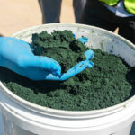 cobalt hydroxide