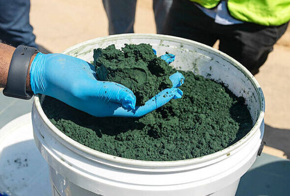 cobalt hydroxide