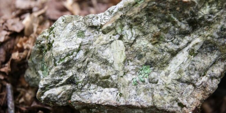 Piedmont Lithium Secures North Carolina Mining Permit for Key Battery Metal