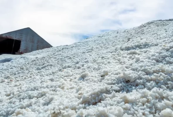 Ganfeng Lithium Begins Production at Mariana Project in Argentina