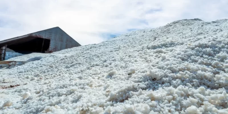 Ganfeng Lithium Begins Production at Mariana Project in Argentina