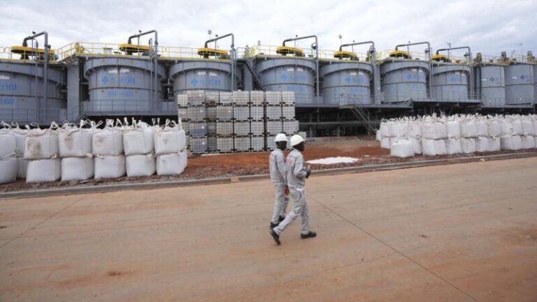Zimbabwe to Ban Lithium Concentrate Exports by 2027 to Boost Local Processing