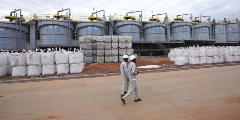 Zimbabwe Advances Lithium Value Addition with Third Sulphate Plant Under Construction