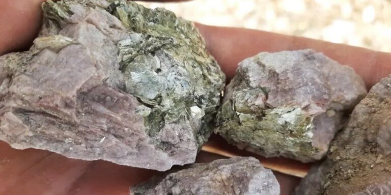 Atlas Lithium Advances Neves Project with Strategic Partner Appointments