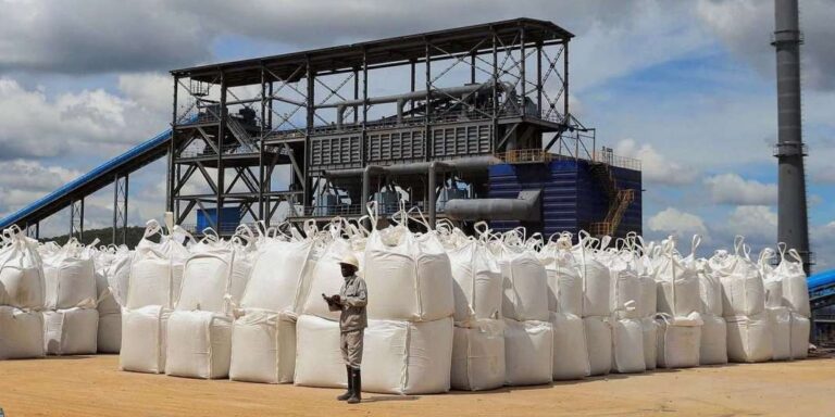 Zimbabwe Attracts Nearly $1 Billion in Lithium Processing Investments After Export Ban