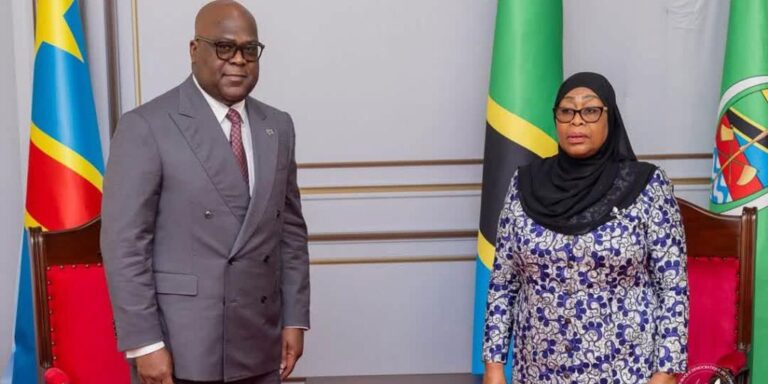 DRC and Tanzania Strengthen Strategic Partnership on Critical Minerals and Geological Data
