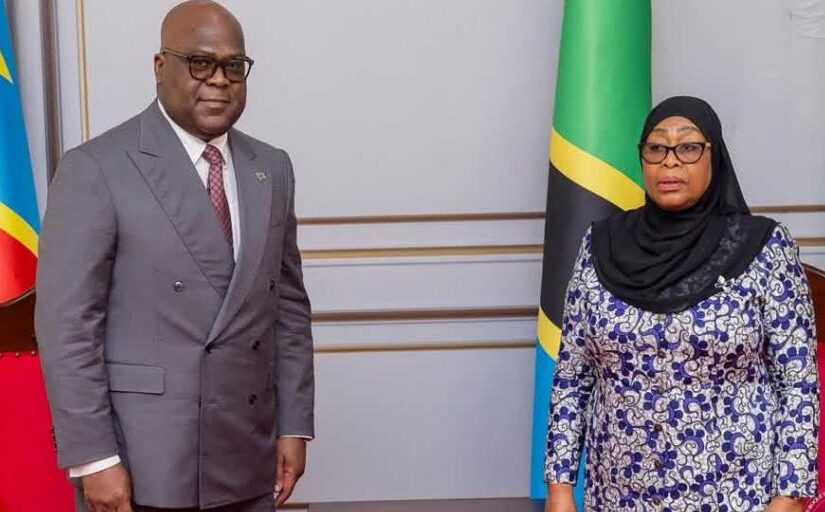 DRC and Tanzania Strengthen Strategic Partnership on Critical Minerals and Geological Data